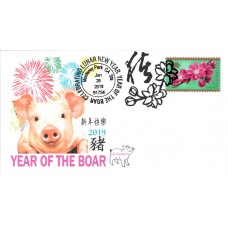 Year of the Boar AFDCS Cover