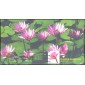 #4182 Water Lily BGC FDC
