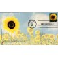 #4347 Sunflower C-Cubed FDC