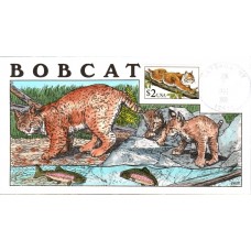 #2482 Bobcat Collins FDC