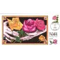 #2492 Pink Rose Collins FDC
