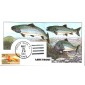 #2547 Apte Tarpon Fly Collins FDC