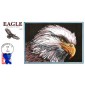 #2598 Eagle Collins FDC