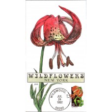 #2681 New York Wildflowers Collins FDC