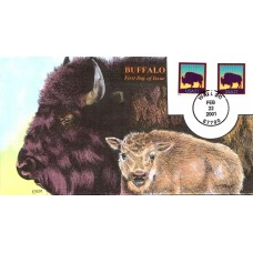 #3468 American Bison Collins FDC