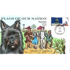 #4292 FOON: Kansas Flag Collins FDC