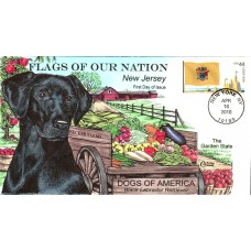 #4308 FOON: New Jersey Flag Collins FDC