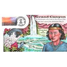 #C135 Grand Canyon Collins FDC
