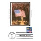 #2276 Flag and Fireworks Colorano Maxi FDC