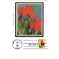 #2517 F - Tulip Colorano Maxi FDC