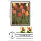 #2518 F - Tulip Colorano Maxi FDC