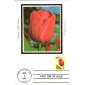 #2524 Tulip Colorano Maxi FDC