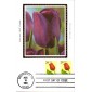 #2525 Tulip Colorano Maxi FDC