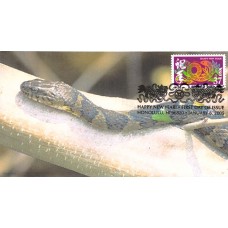 #3895f Year of the Snake Compuchet FDC