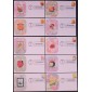 #4754-63 Vintage Seed Packets CompuChet FDC Set