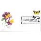 #5346 California Dogface Butterfly CompuChet FDC