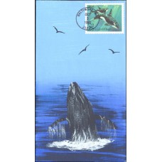 #2508 Killer Whale Cover Scape FDC