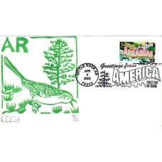 #3564 Greetings From Arkansas Curtis FDC