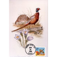 #2283 Ring-Necked Pheasant Double A Photo FDC