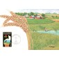 #2074 Soil and Water Conservation Maxi FDC