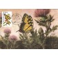#2300 Tiger Swallowtail Butterfly Maxi FDC