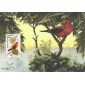 #2306 Scarlet Tanager Maxi FDC