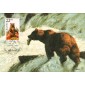 #2310 Alaskan Brown Bear Maxi FDC