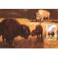#2320 American Bison Maxi FDC