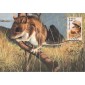 #2324 Deer Mouse Maxi FDC