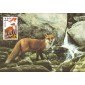 #2335 Red Fox Maxi FDC