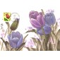 #2519 F - Tulip Maxi FDC