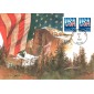 #2607 USA - Flag Maxi FDC
