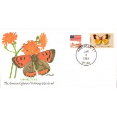 CT American Copper Butterfly Cover