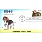 #2101 Coonhound - American Foxhound Foust FDC