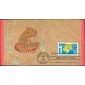 #3179 Year of the Tiger Ham FDC
