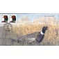 #3050 Ring-necked Pheasant Homespun FDC