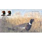 #3055 Ring-necked Pheasant Homespun FDC