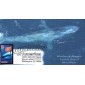 #4069 Blue Whale Homespun FDC 
