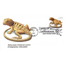 #3816 Reticulate Collared Lizard Junction FDC