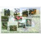 #4099 Southern Florida Wetlands Junction FDC