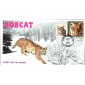 #4672 Bobcat Combo JVC FDC