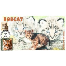 #4672 Bobcat Combo JVC FDC