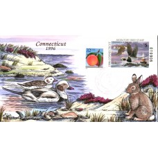 #CT4 Connecticut 1996 Duck Milford FDC