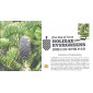 #4480 Holiday Evergreens MPG FDC