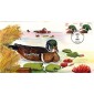 #2484-85 Wood Duck Olde Well FDC