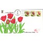 #2518 F - Tulip PNC Pugh FDC