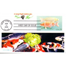 #UX555 Koi Fish Pugh FDC