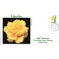 #3054 Yellow Rose RKA FDC