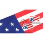 #2475 US Flag Rogak FDC