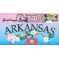 #3564 Greetings From Arkansas Romp FDC